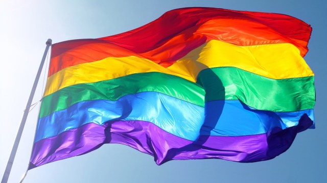 Transgender Pride  Transgender Michigan